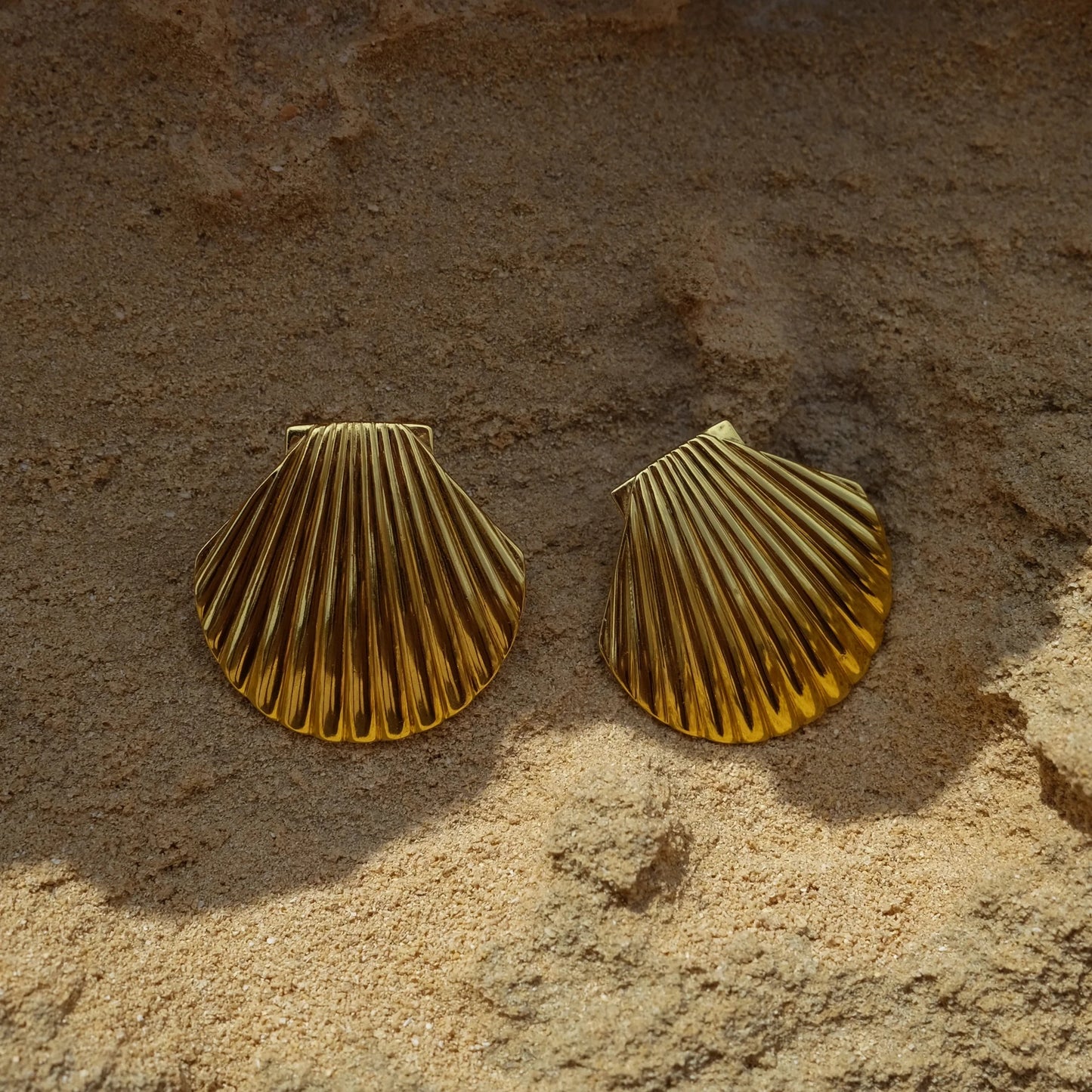 Textured shell Big Stud Earrings Distinctive