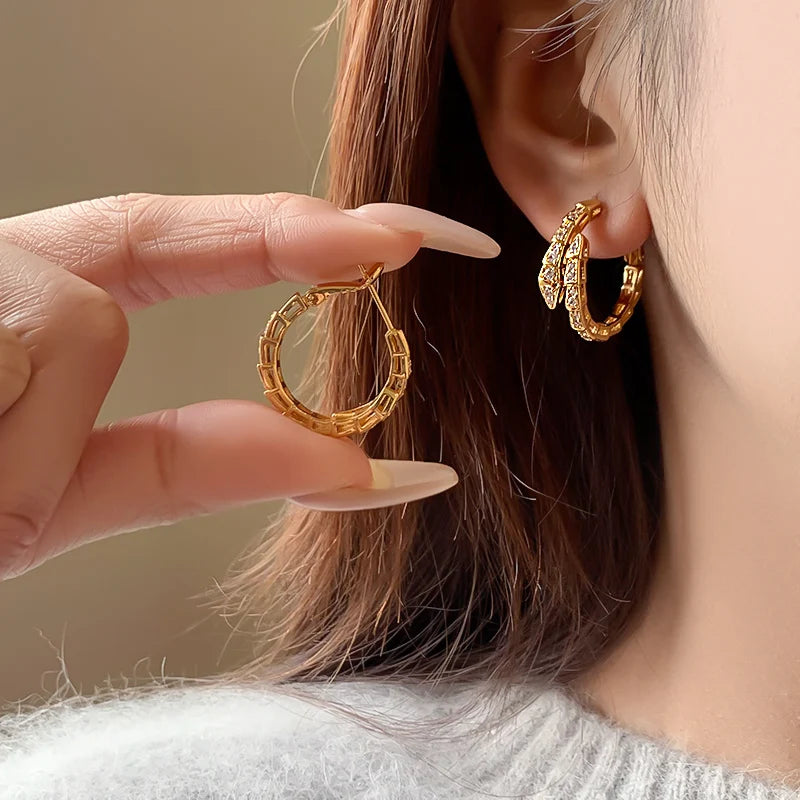 Classic Snake Shaped Micro Set Zircon Drop Earrings