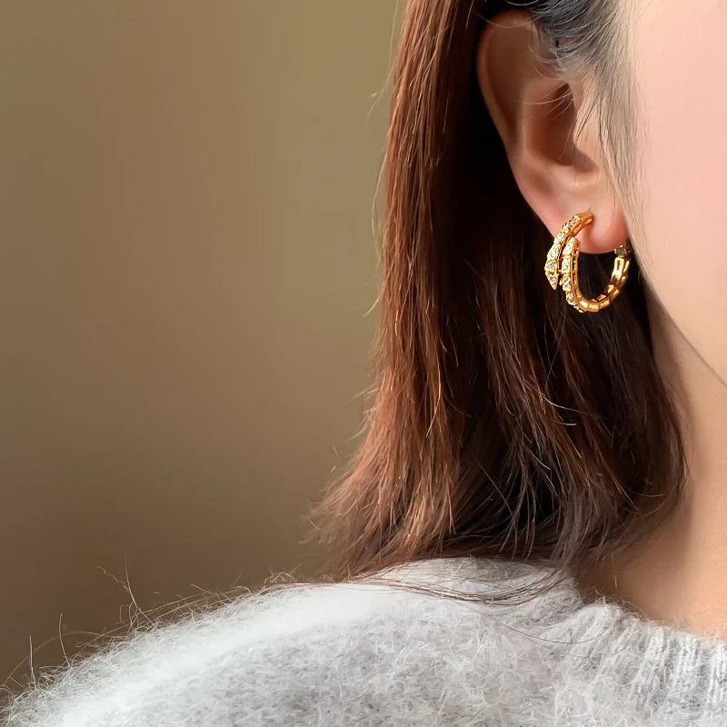 Classic Snake Shaped Micro Set Zircon Drop Earrings